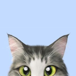 Mochi