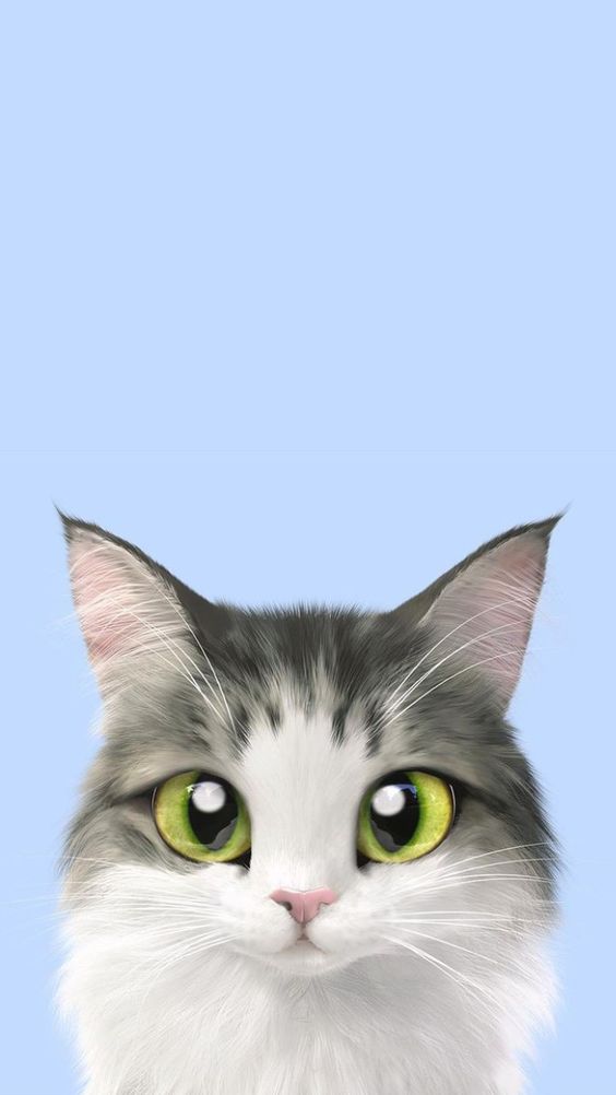 Mochi